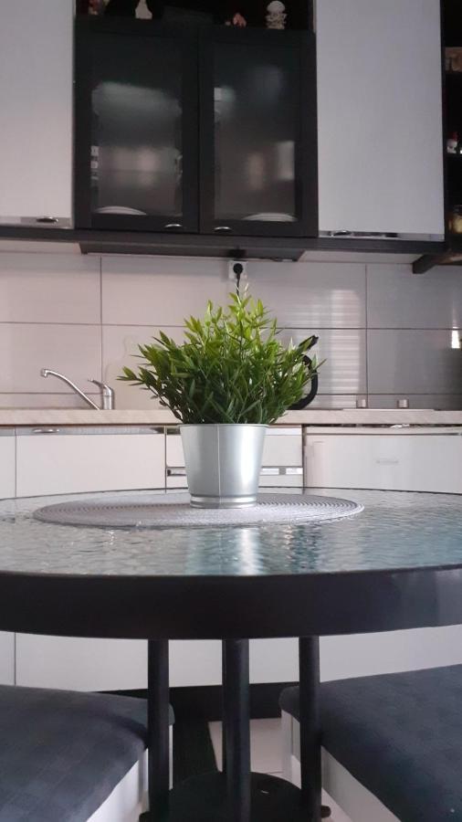 Apartment Viki Lozovac Εξωτερικό φωτογραφία